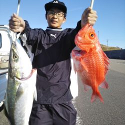 康仁丸・ジギング釣り果